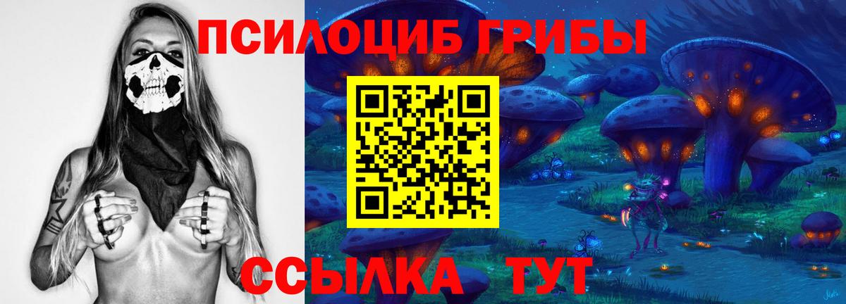 Лениногорск  Псилоцибиновые грибы Psilocybine cubensis  Вход с VPN  как найти закладки  Галлюциногенные грибы ЛСД 